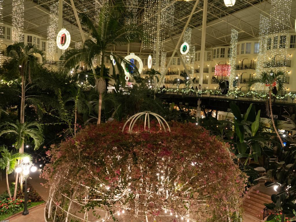 ααΆααα»αααα
αΌαααααΆα αα·α ααΆαααααΆαααααα·ααΈααΆαα·ααα